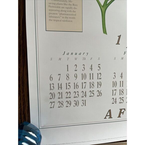 Vintage 1991 Rosy Periwinkle Pharmacy History Pharmacist Poster Afrin Promo - Picture 8 of 12